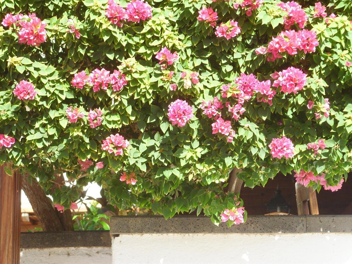 Appartamento Casa La Tahonilla Tías Esterno foto