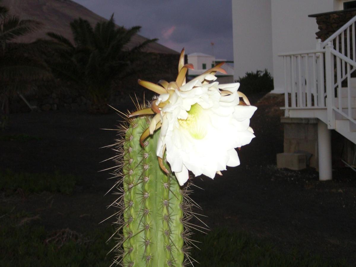 Appartamento Casa La Tahonilla Tías Esterno foto